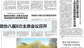 樂(lè)山日?qǐng)?bào)3月23日?qǐng)?bào)道：《推動(dòng)“做鋼鐵”向“做材料”轉(zhuǎn)變，德勝釩鈦——轉(zhuǎn)型升級(jí)邁向高端》