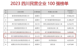 連續(xù)六年！德勝集團(tuán)上榜“四川民營(yíng)企業(yè)100強(qiáng)”